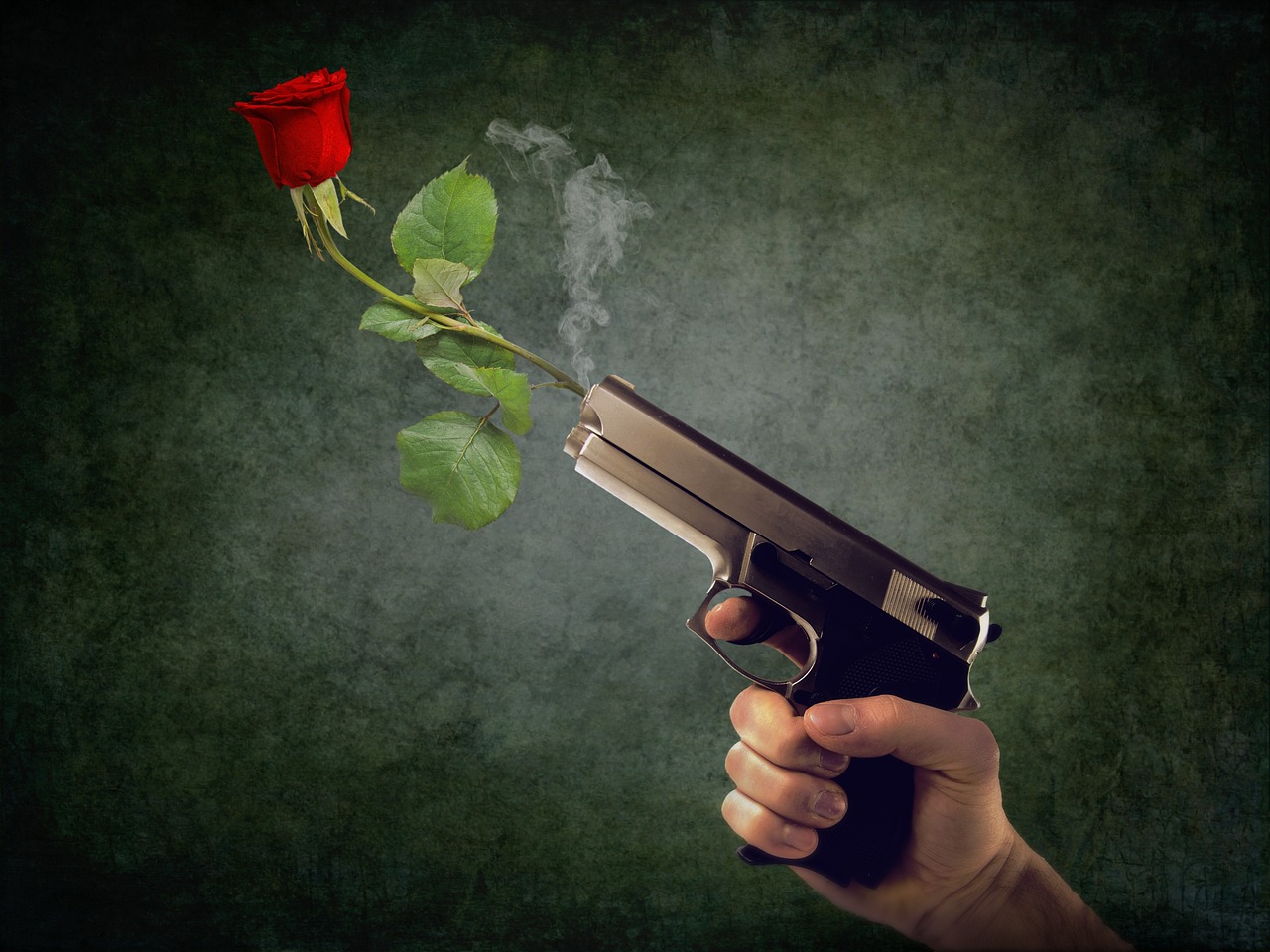 Gun and rose. 